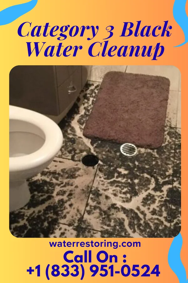 Category 3 Black Water Cleanup in Sumner, OK